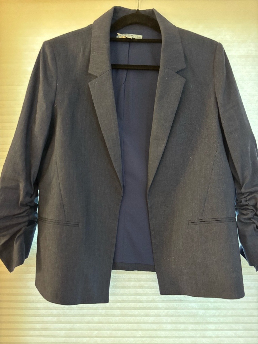 Antonio Melani Blue Jacket